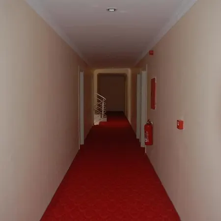 Pekcan 2*